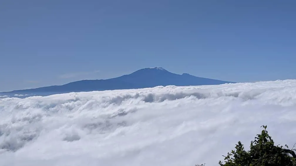 Mount Kilimanjaro trekking landscape